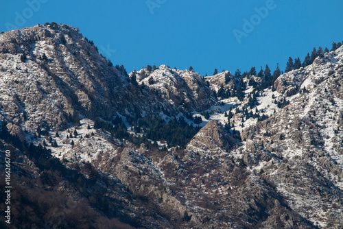 Top of kerketion mountain with firs and snow. koziakas, Pindus or pindos in Greece. Blue sky. Cliff with triangular tops. Mountain peaks. View from afar. photo