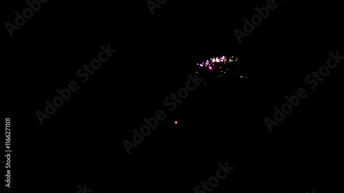 Fireworks on isolated black background.