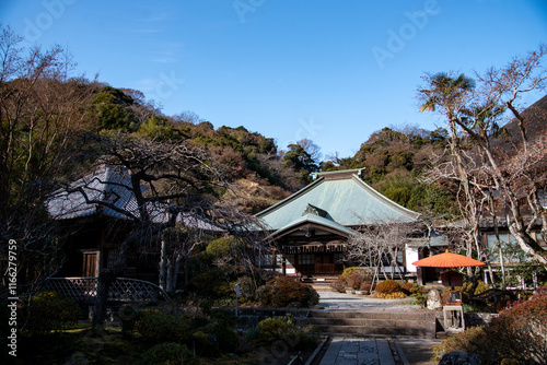 鎌倉2412　海蔵寺20　正月飾り photo