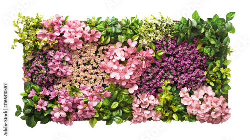 Green flower bed template top view transparent background photo