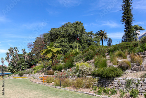 Photography Royal Botanical Garden of Sydney - Australia, New South Wales
