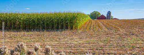 Red barn, silos and corn being harvested on a Wisconsin farm in October