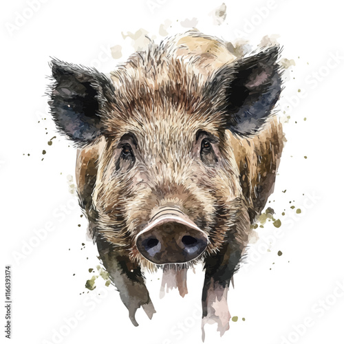 A watercolor vector painting of a wild boar, isolated on a white background. Wild boar vector.

