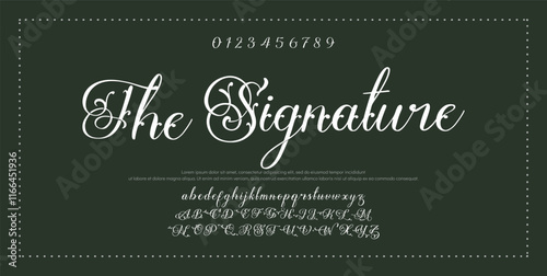 Signature Font Calligraphy Logotype Script Font Type Font lettering handwritten.