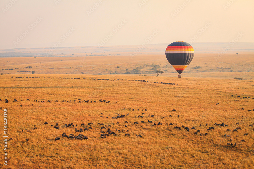 Φωτογραφία The Great WildeBeest Migration from the Hot Air Balloon Maasai Mara, Kenya: Agai