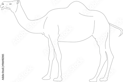 The sketch illustration of a camel, an animal that lives in desert areas.