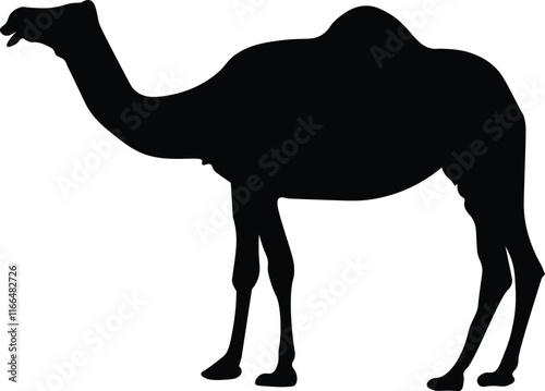 The silhouette illustration of a camel, an animal that lives in desert areas.