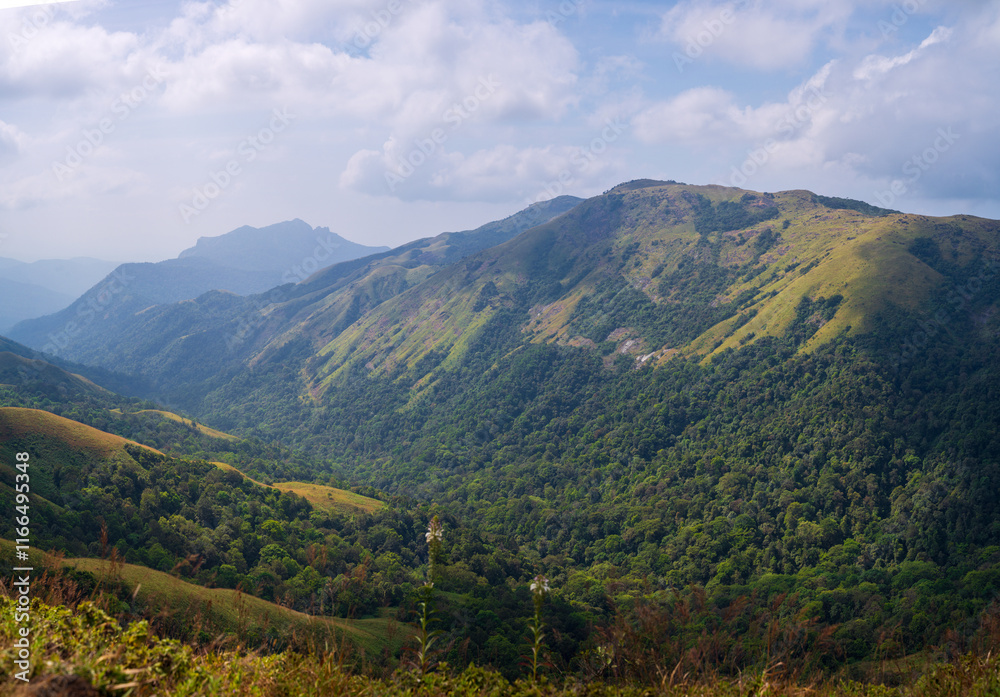 Panoramic view of the green mountains and hills Panoramic view of the green mountains and hills