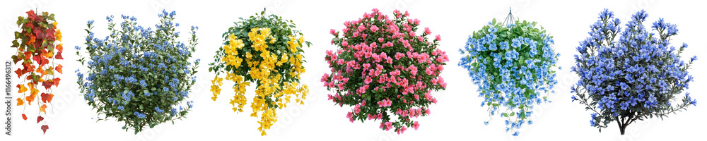Flower bush png cut out element set, transparent background Flower bush png cut out element set, transparent background