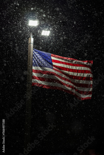 american flag in the snow