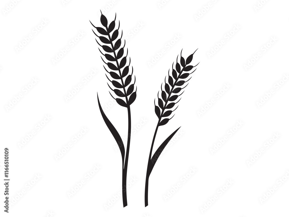 Ear of Wheat, Barley or Rye. Vector icon isolated on white background Ear of Wheat, Barley or Rye. Vector icon isolated on white background