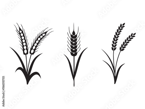 Ear of Wheat, Barley or Rye. Vector icon isolated on white background