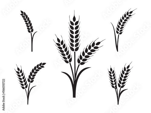 Ear of Wheat, Barley or Rye. Vector icon isolated on white background