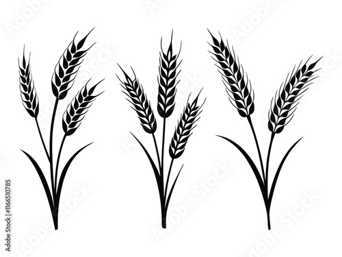 Ear of Wheat, Barley or Rye. Vector icon isolated on white background