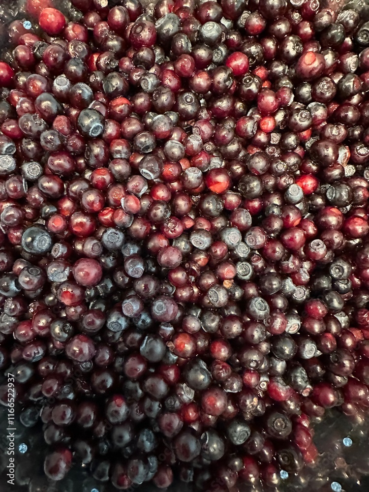 mountain fresh organic huckleberries
mountain fresh organic huckleberries
