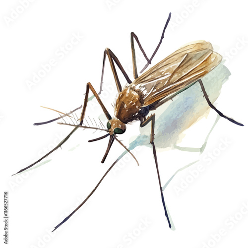 A watercolor vector painting of a mosquito, isolated on a white background. Mosquito vector.

