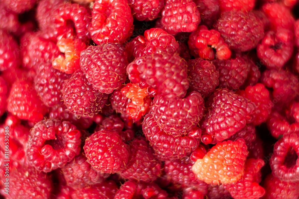 Close-up of raspberries in a bowl. Background with raspberries. Close-up of raspberries in a bowl. Background with raspberries.