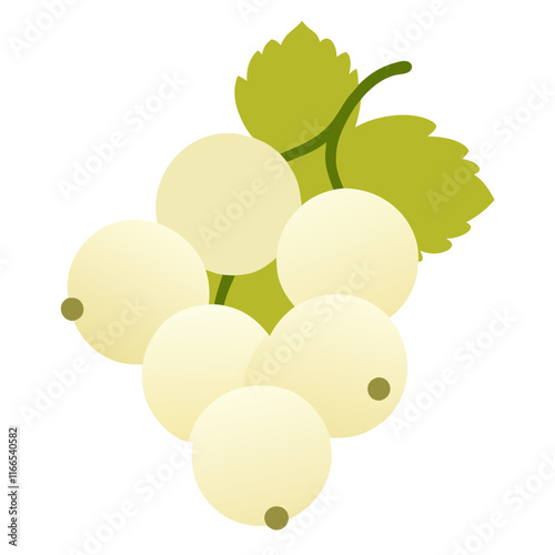 White Currant