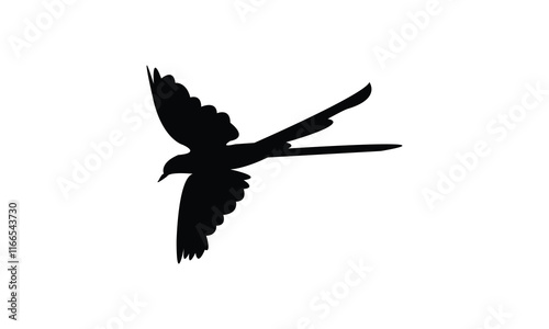 Flying Scissor Tailed Flycatcher  Bird Silhouette Design  And Vector Illustration. 