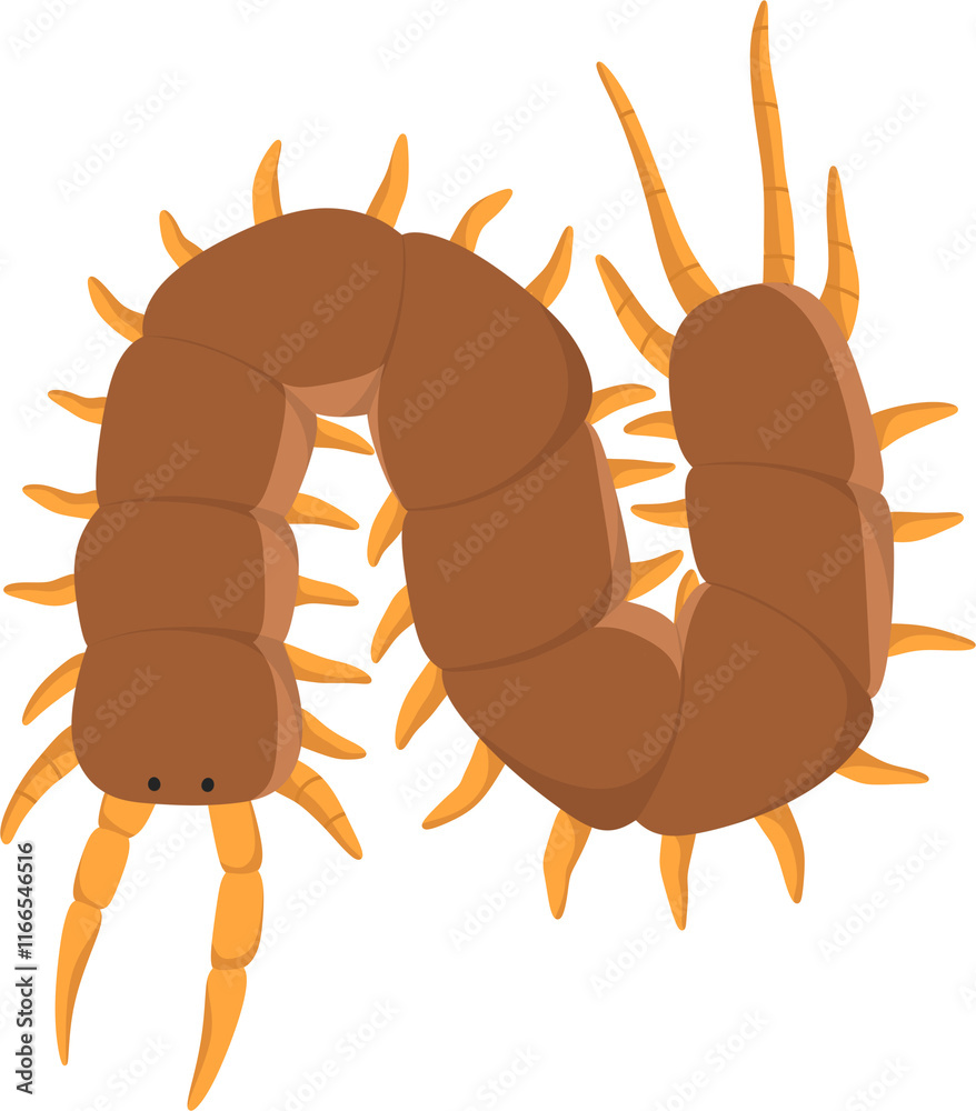 Obraz premium illustration centipede