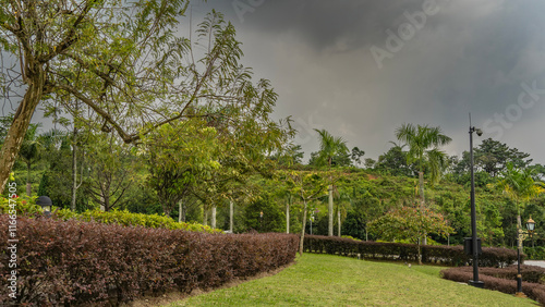 Photography Landscape design of a tropical park