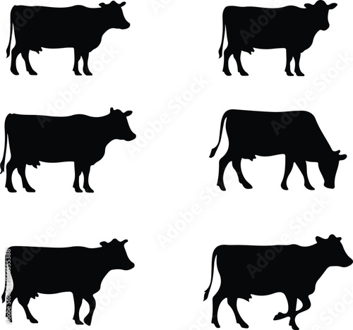 cow silhouettes of isolated on white background. Vector illustration.