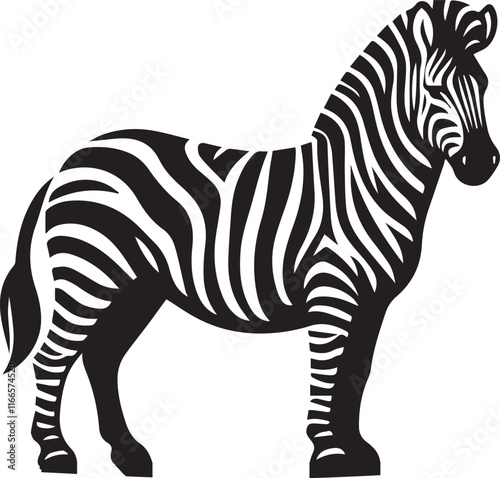 Zebra vector illustration black and white