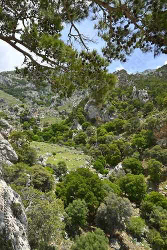 Crete, Greece, mountains, beach, water, sea, holidays, trip, holiday, sun, sky, forest, rocks, trekking, beach, sea, water, rest, vacation, holiday,