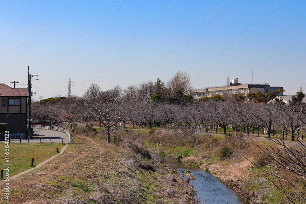 大堀川（千葉県柏市）