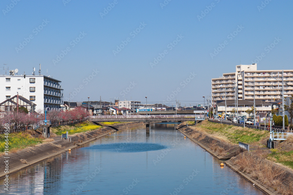 坂川(千葉県松戸市) 坂川(千葉県松戸市)