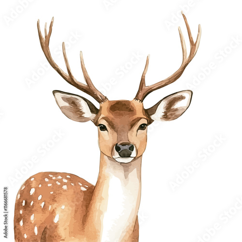 A watercolor vector painting of a deer, isolated on a white background. Deer vector.

