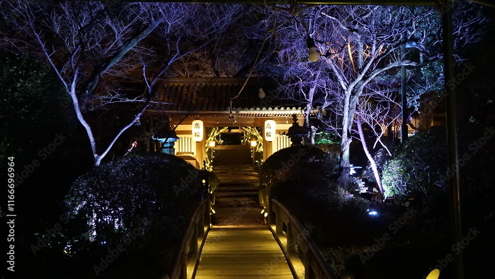 夜の日本庭園