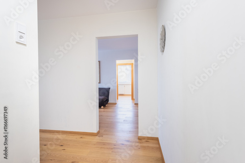 Bright Hallway Leading to a Home Living Room With Wooden Floor and White Walls. Interior