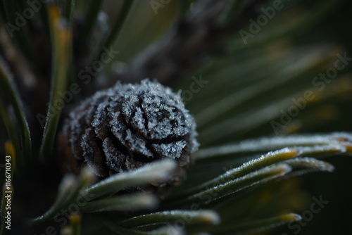 close up of a frost cone photo