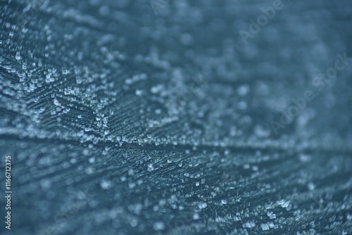 frozen