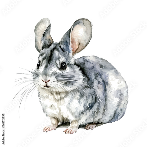 A watercolor vector painting of a chinchilla, isolated on a white background. Chinchilla vector.

