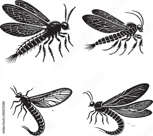 "Detailed Silhouette of a March Brown Mayfly Isolated on White Background in Monochrome"