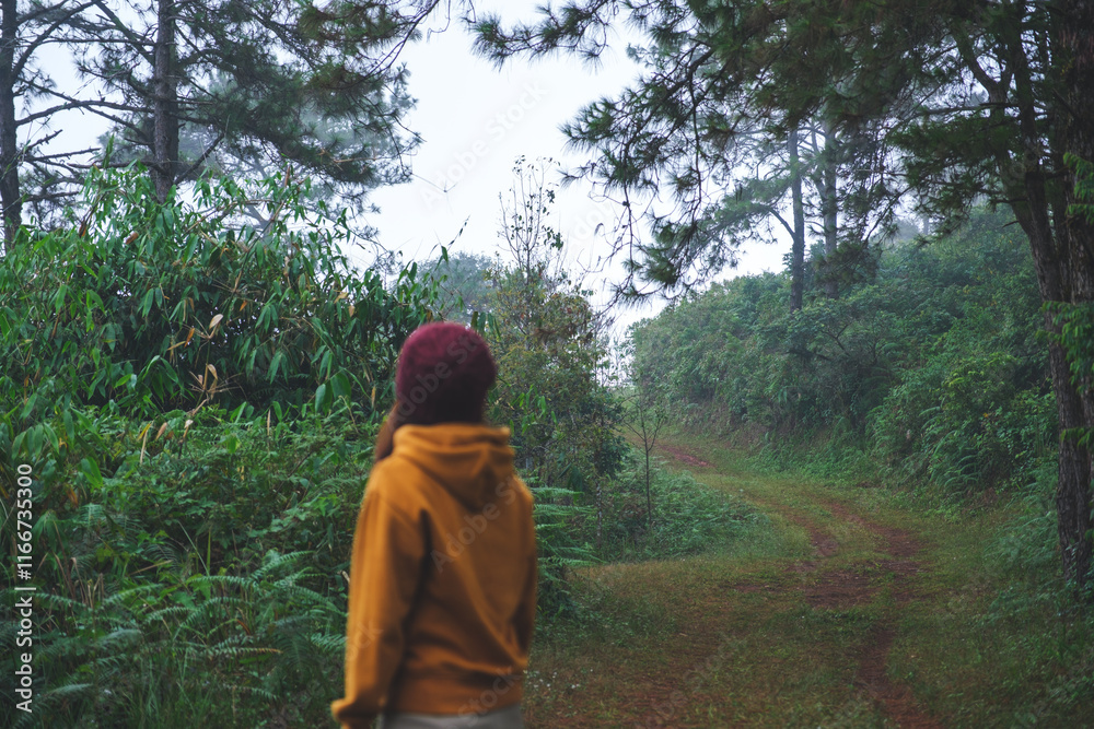 Rear view image of a woman walking into the forest Rear view image of a woman walking into the forest