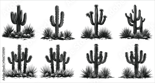 Set of different cactus silhouettes in desert, Various desert cactus silhouettes vector collection, Set of desert cactus silhouettes on sunset, Collection of cactus silhouettes in desert landscape
