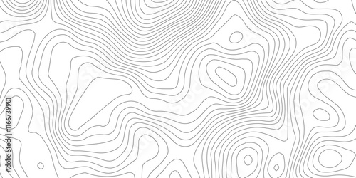 Abstract Blank Detailed Topographic Contour Map Subtle White Vector Background, Topography map art curve drawing. geographic contour map paper texture,paper texture Imitation of a geographical map sha