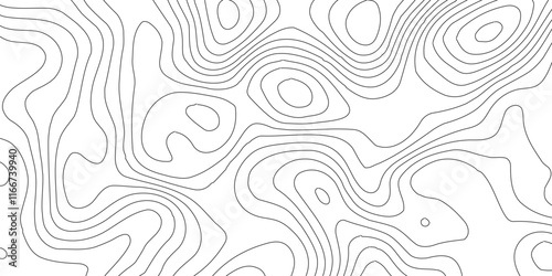 Abstract Blank Detailed Topographic Contour Map Subtle White Vector Background, Topography map art curve drawing. geographic contour map paper texture,paper texture Imitation of a geographical map sha