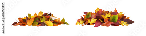Two piles of autumn leaves are shown side by side