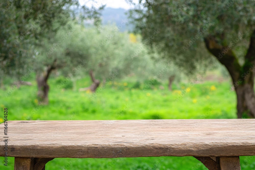 Rustic Wooden Table Against Lush Green Olive Tree Orchard Landscape Background Rustic Wooden Table Against Lush Green Olive Tree Orchard Landscape Background