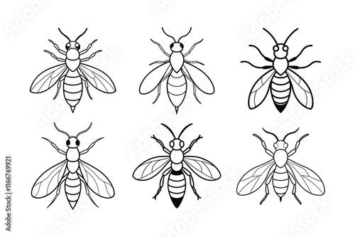 Gall Wasp (Cynipidae) insect design, labeled line art vector illustration.