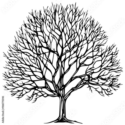 Tree Silhouette Clipart: Ideal for DIY and Digital Projects