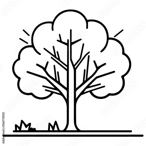 Silhouette of Tree: Free Images for Personal and Commercial Use