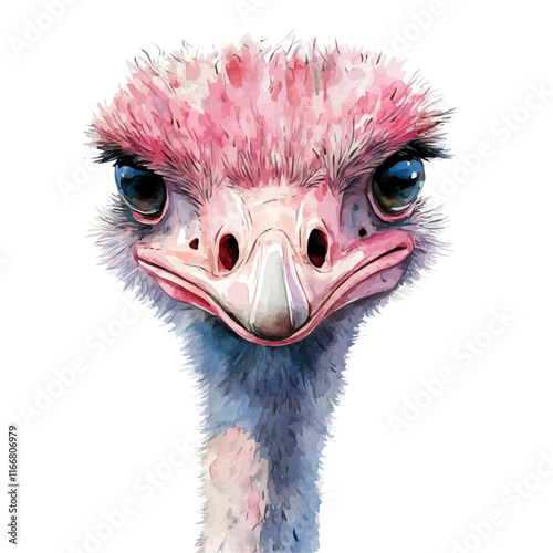 A watercolor vector painting of an ostrich, isolated on a white background. Ostrich vector.

