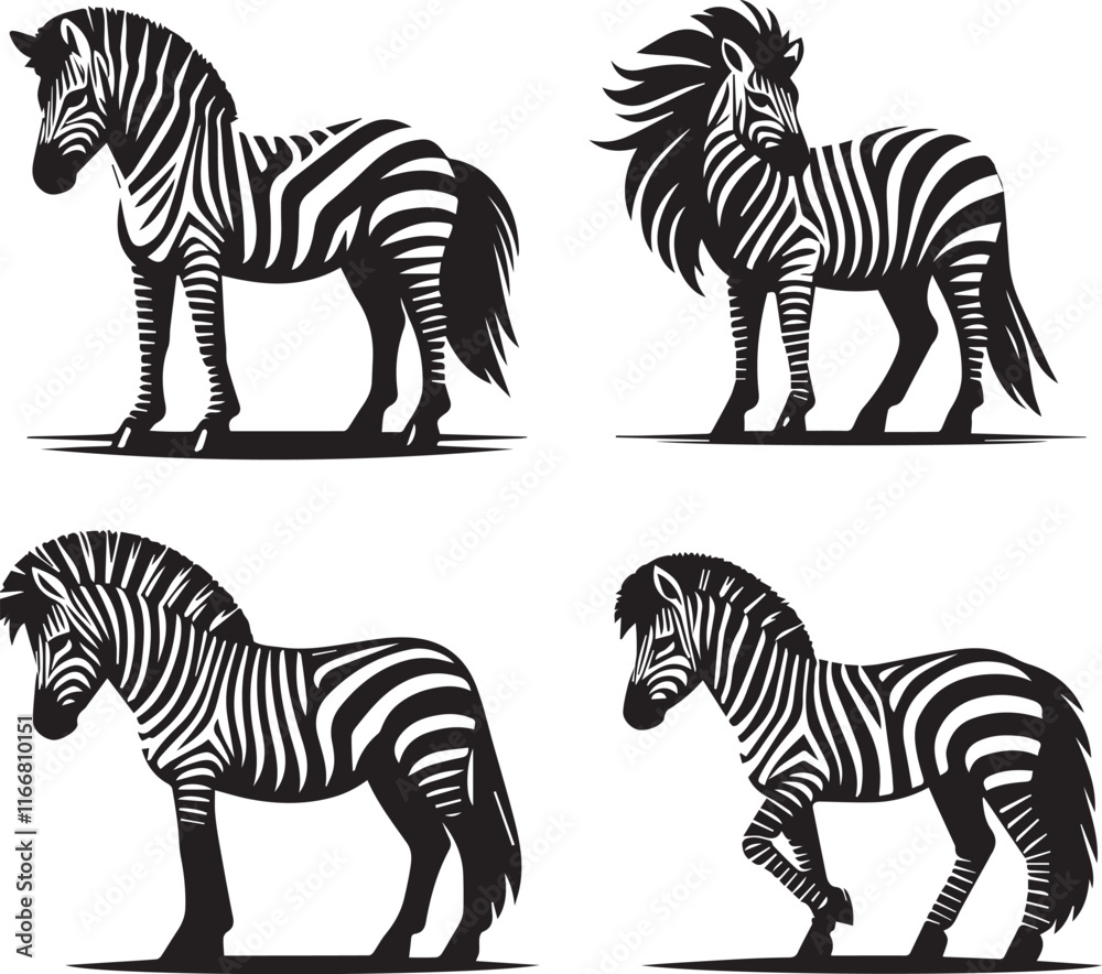 Obraz premium Zebtra vector in black and white