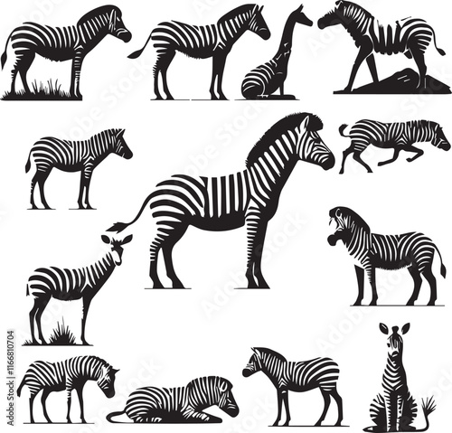 Zebra vector in black and white