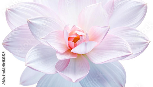 Abstract image of flowers in soft pastel colors, flowing, translucent petals with a blend ofcolor hues, white background, centered composition ai photo